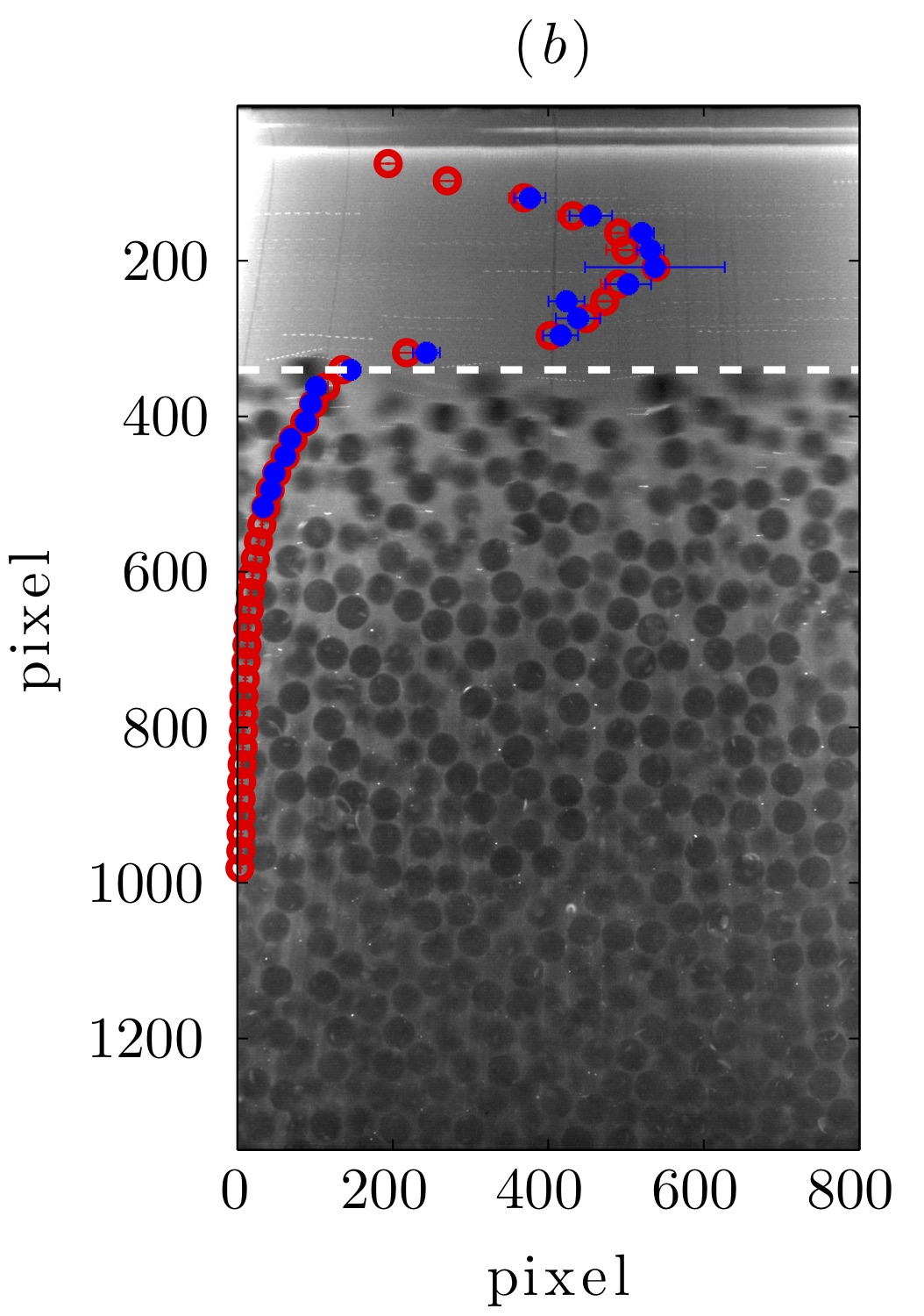 Laminar bed-load experiments