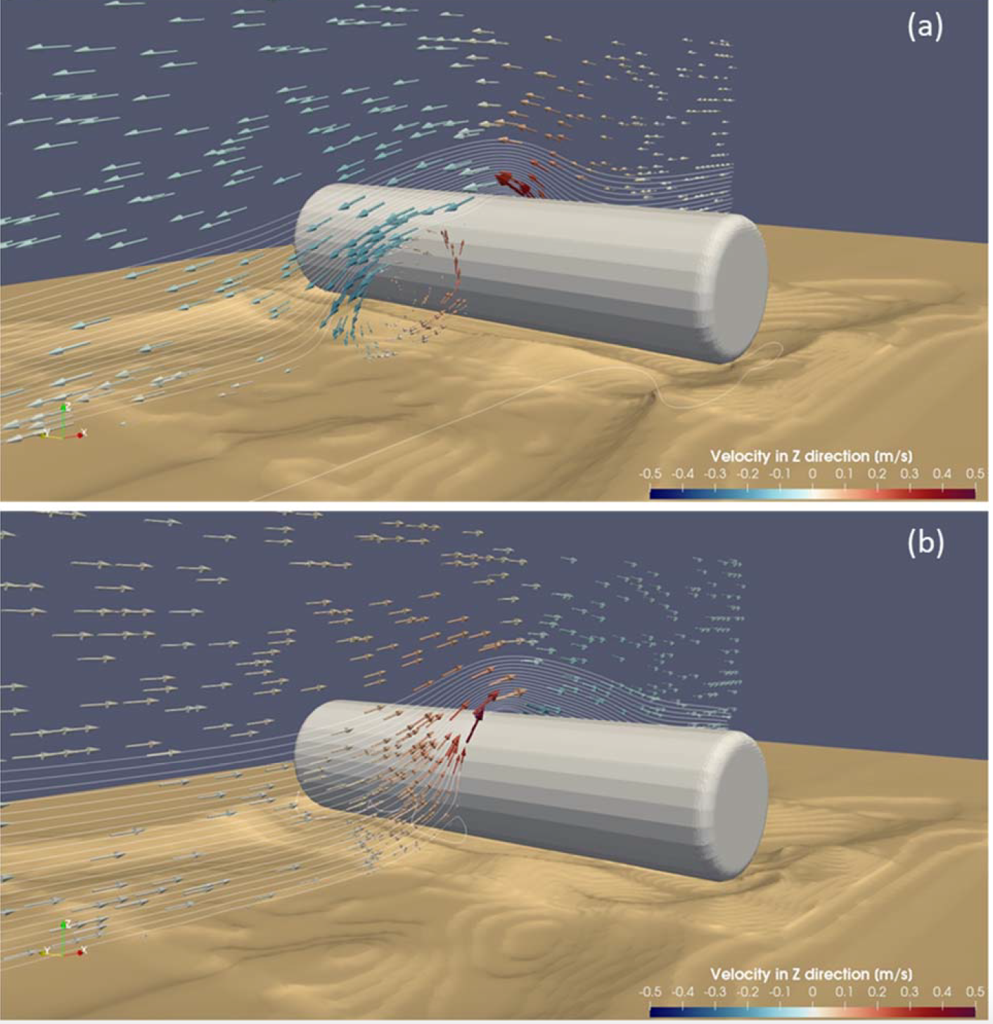 Scour of a 3D short cylinder 2